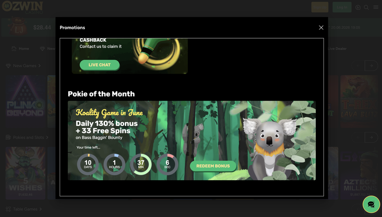 ozwin casino Gameplay